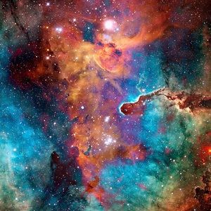 Meet your Posher, Savannah